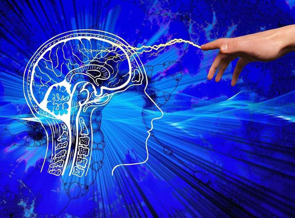 مستقبل أبحاث الدماغ ونماذج التعليم